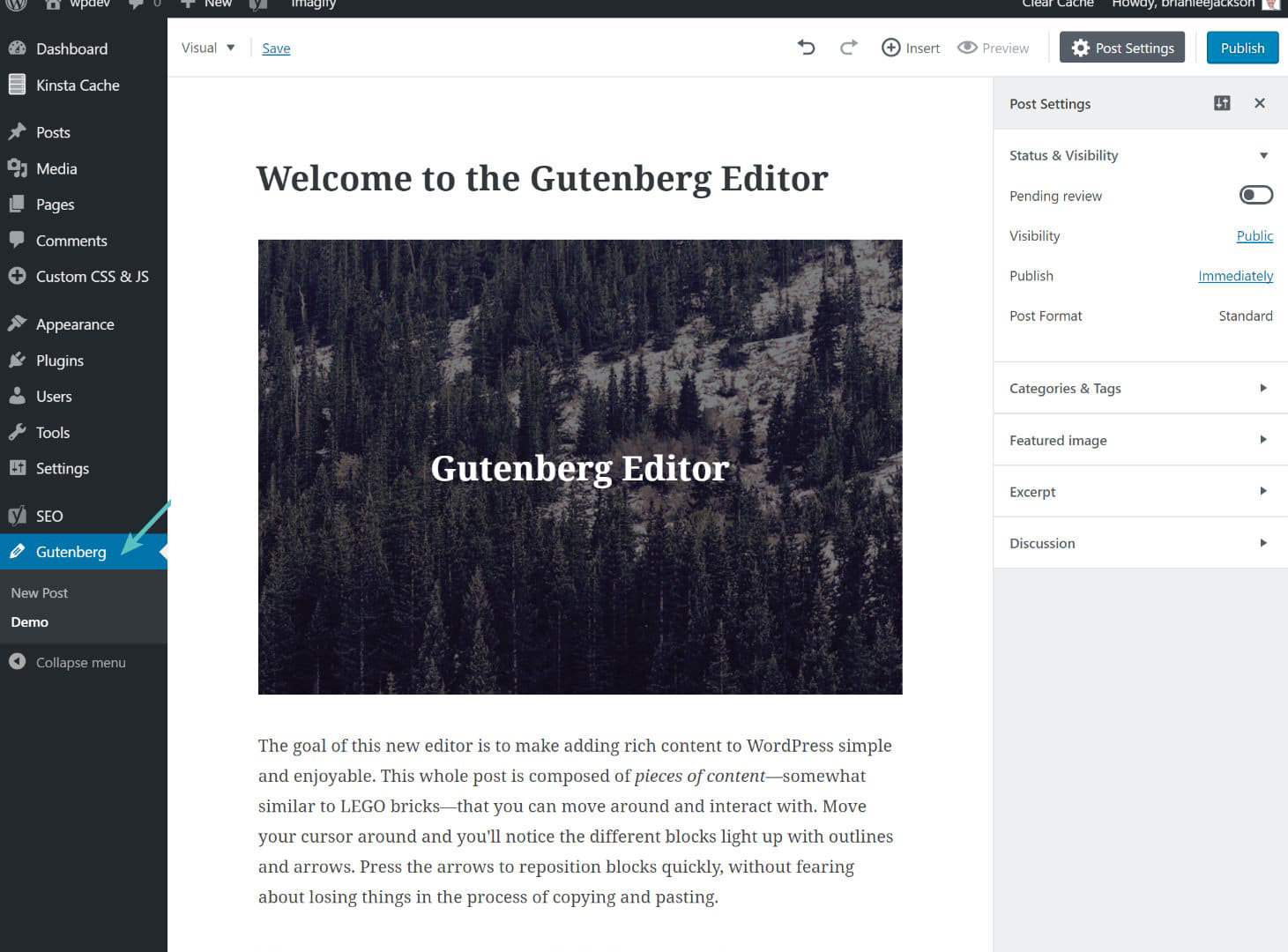 gutenberg-editor