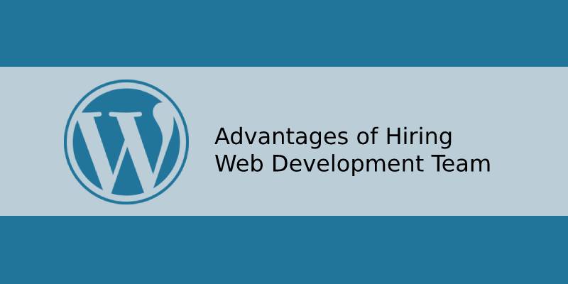 Hiring Web Development Team